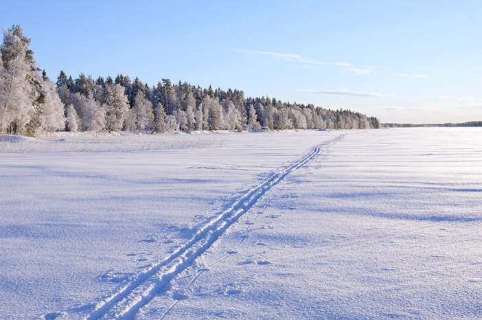 Talvimaisema ja hiihtolatu